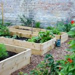 Seven Tips for Effective Indoor Gardening That Will Help Your Houseplants Thrive