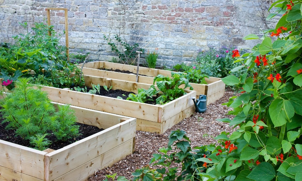 Seven Tips for Effective Indoor Gardening