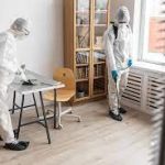 Types of Pest Control Services For Your Home- Make Your Paradise Worth Living 