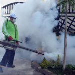 How to Choose the Right Mosquito Fogging Company