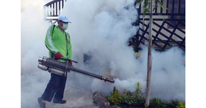 Mosquito Fogging Company