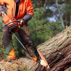 article_32483838_gallery_1775207691548